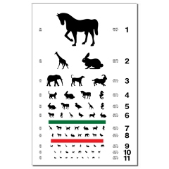 Eye chart with animal silhouettes poster